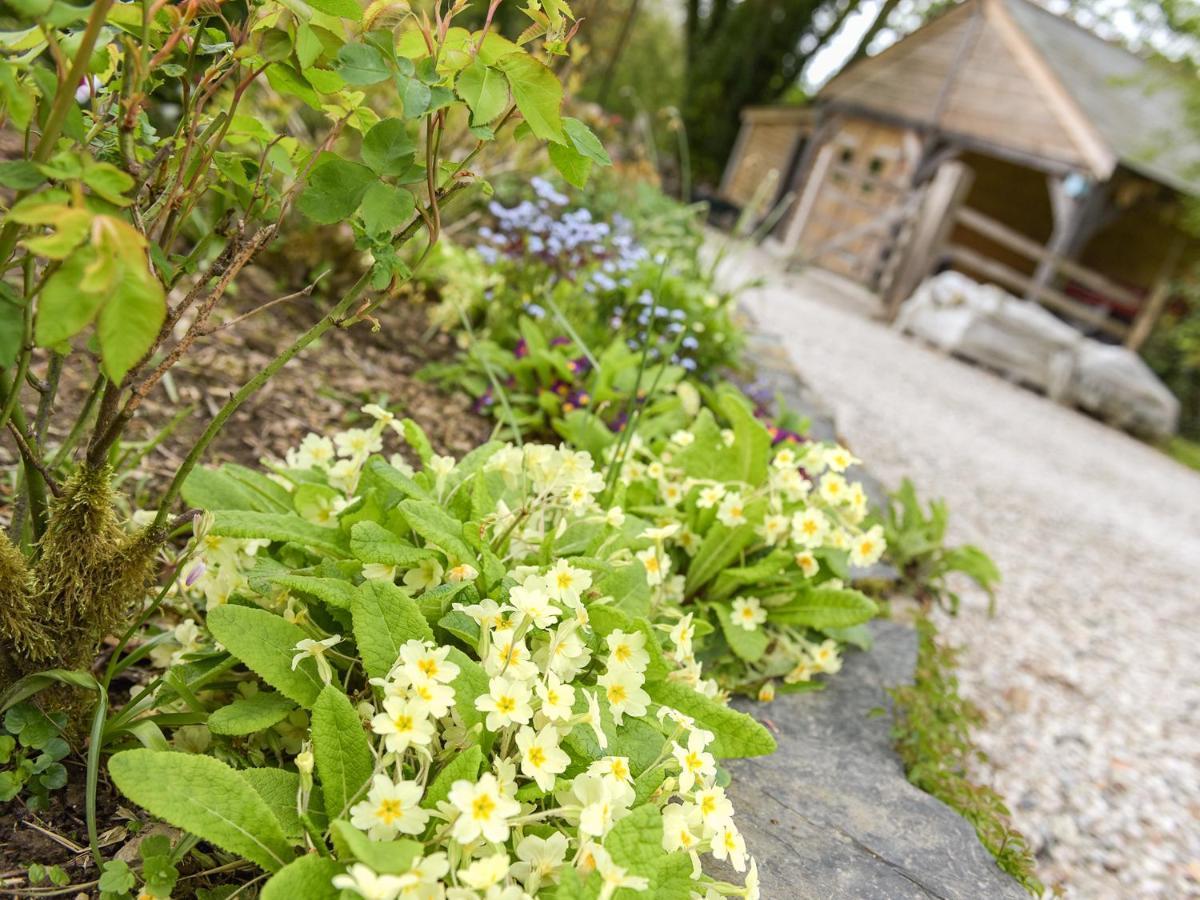 Mimi'S Cottage Liskeard Eksteriør bilde